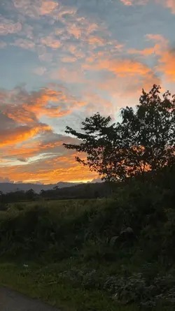 1 video