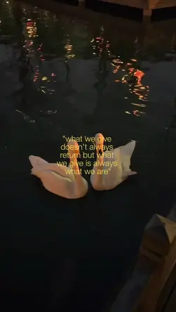 what we are