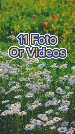 11 video Slide