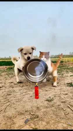 Sample funny