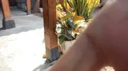 2 video
