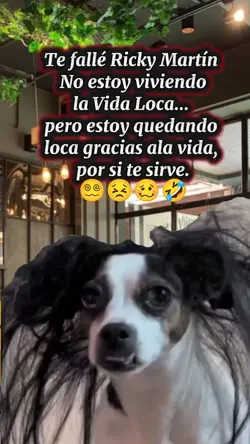 humor