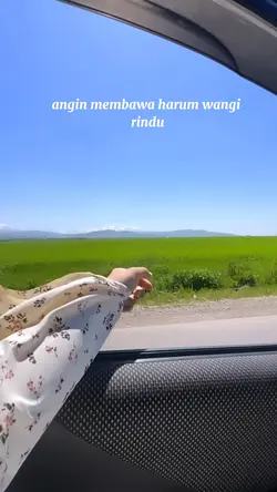 Angin membawa