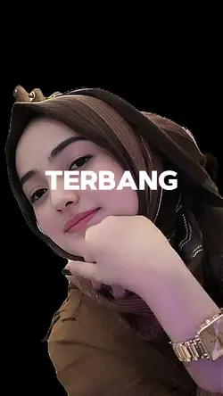 MODE PESAWAT 