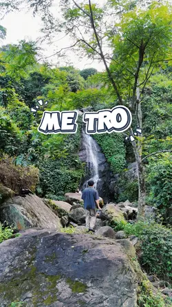 Mẫu Me Tro