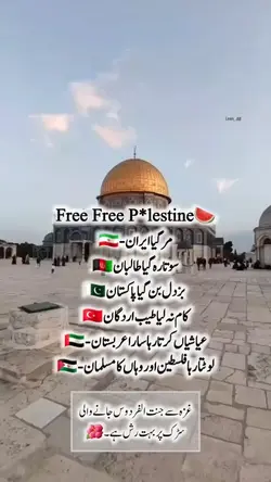palastine video 