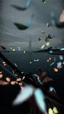 Butterfly effect 