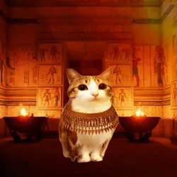trend Egypt