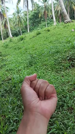 brilliante Ng tubig