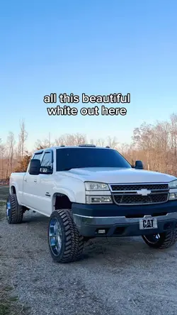  beautiful white 😻