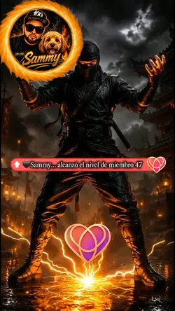 niveles tiktok