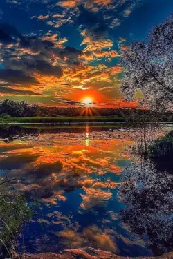 Nature