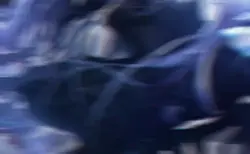 3D？
