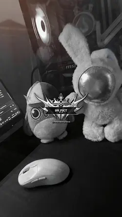 legendaris x kamnh 