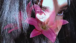 Flowers Blooming