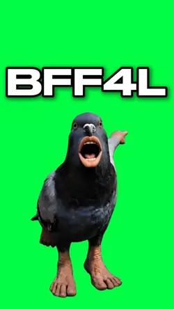 BFF4L SIGEON PEX