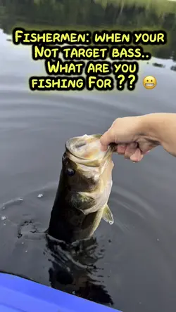 What are you fishing