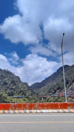 pulut roham 