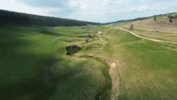 drone in nature