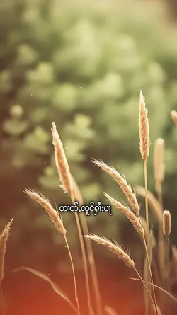 သႂ်ႇၶႅပ်းႁၢင်ႈသူ 1