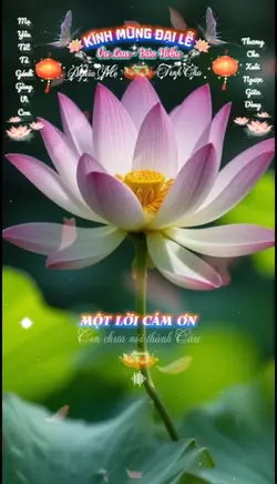 Vu lan báo hiếu