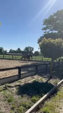 Riding 