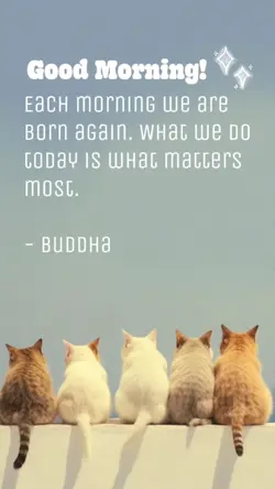 Good Morning