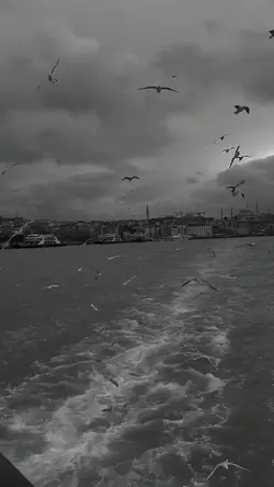 Oyuncu 456 Elendi