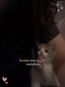 Los gatitos 💗<3!!!