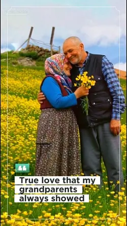 Endless Love