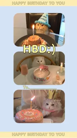 Hbd