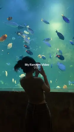 My Random Video