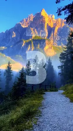 17 video or picture 