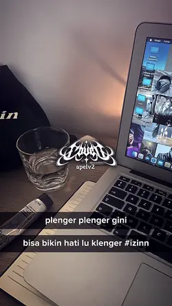 Plenger2 Gini