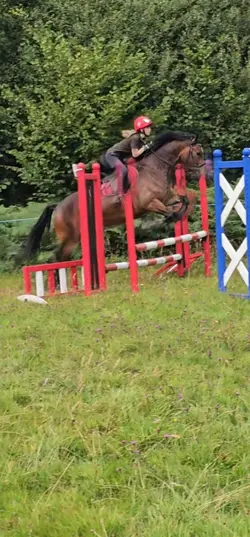 Whip it <33 