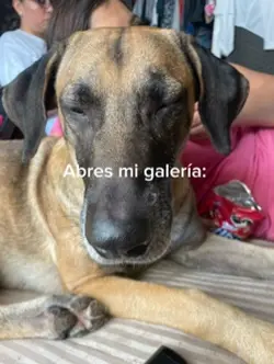JAJAJAJA