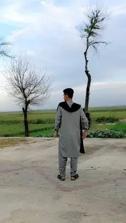 Ali Ali 