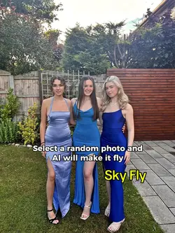 Filter fly