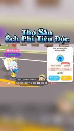 video + màu
