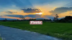 Fiesta