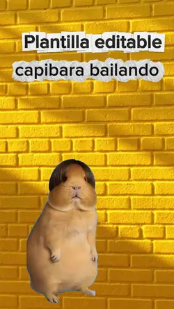 capibara bailando 