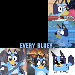  Bluey and Bingo