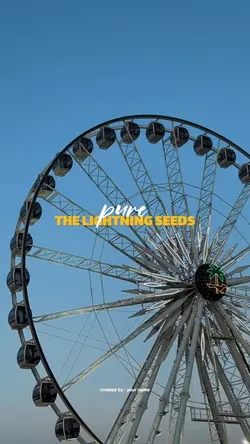 The Lightning Seeds