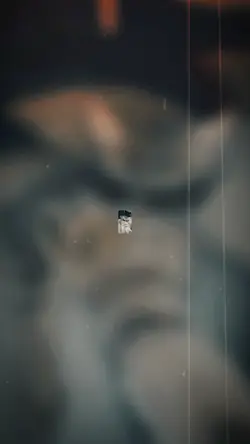 Sha ngata