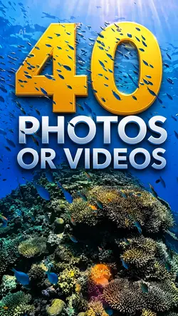40 Video Slides
