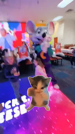 Kicau Mania 1video