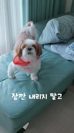 잠꺈 내리지말구 