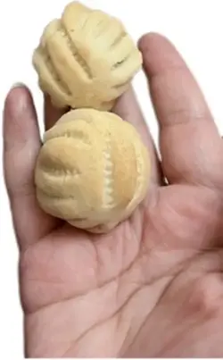 اهلا بالعيد