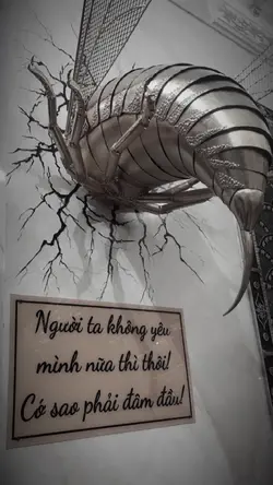 MẪU 1 ẢNH 