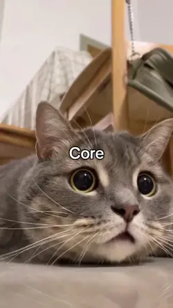 core 5 video